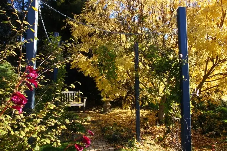 Third view of Homely house listing, 30 Seventh Day Road, Glen Huon TAS 7109