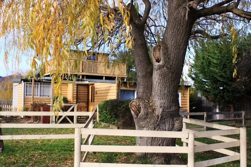 Main view of Homely house listing, 113 Lucaston Link Road, Lucaston TAS 7109