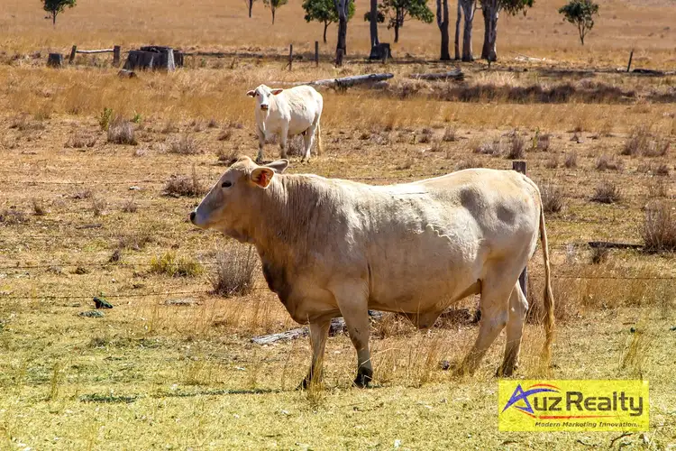 Sixth view of Homely rural property listing, 8 Nanango Brooklands Rd, Nanango QLD 4615