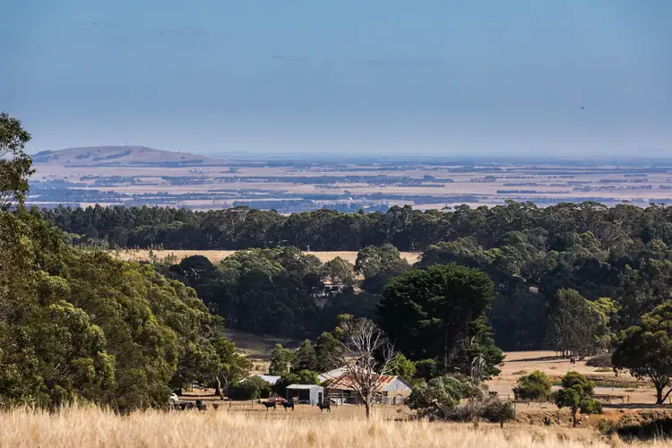 385 Bambra Cemetery Road, Deans Marsh VIC 3235
