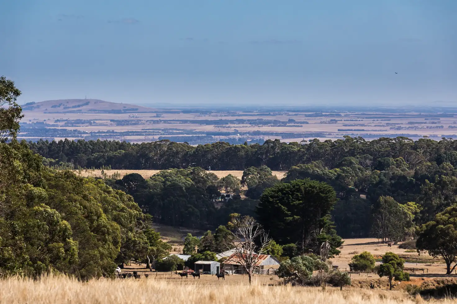 Main view of Homely house listing, 385 Bambra Cemetery Road, Deans Marsh VIC 3235