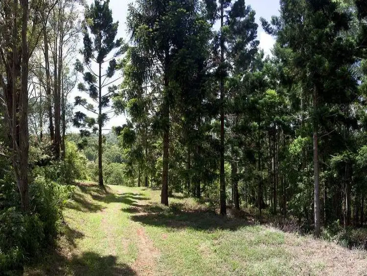 Third view of Homely house listing, 231 Fowlers Lane, Bangalow NSW 2479