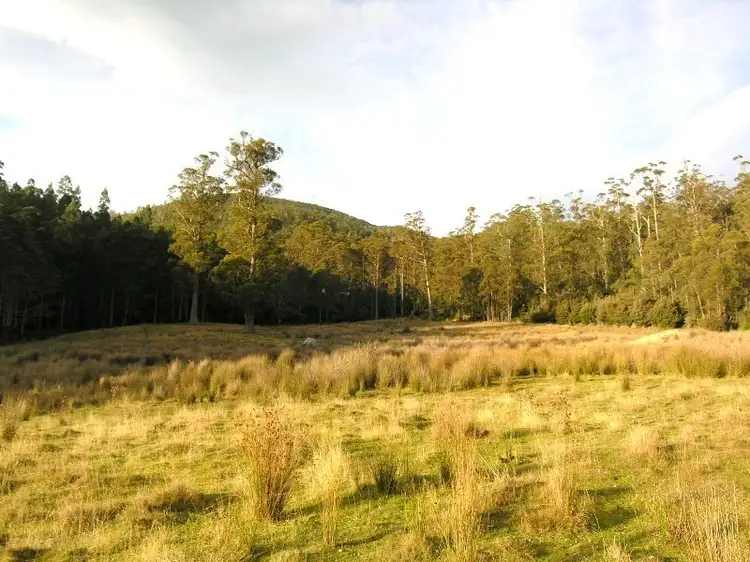 Main view of Homely land listing, 214410/1 Halls Track Road, Pelverata TAS 7150