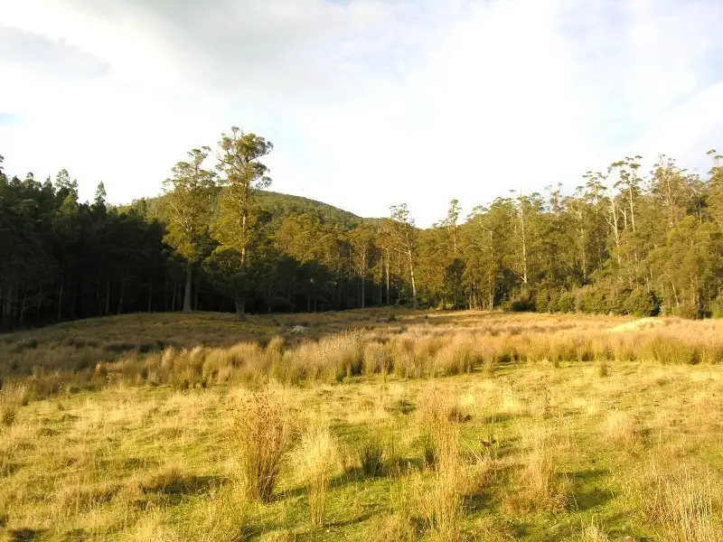 Main view of Homely land listing, 214410/1 Halls Track Road, Pelverata TAS 7150