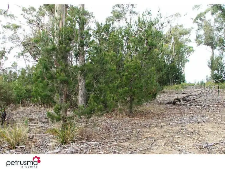 Fourth view of Homely land listing, 51 Bernacchi Drive, Orford TAS 7190