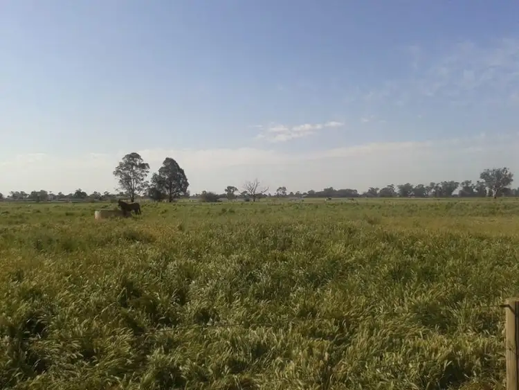 Seventh view of Homely house listing, 783 River Rd, Murchison VIC 3610