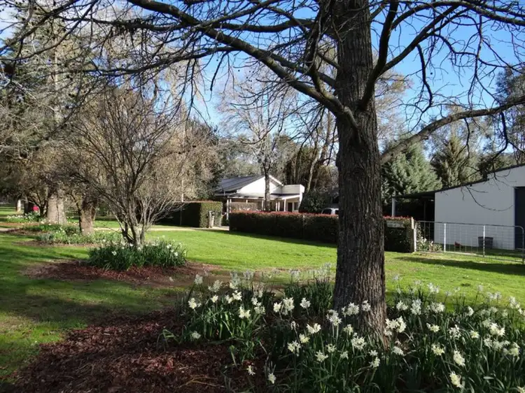 Main view of Homely rural property listing, 6132 Great Alpine Road, Eurobin VIC 3739