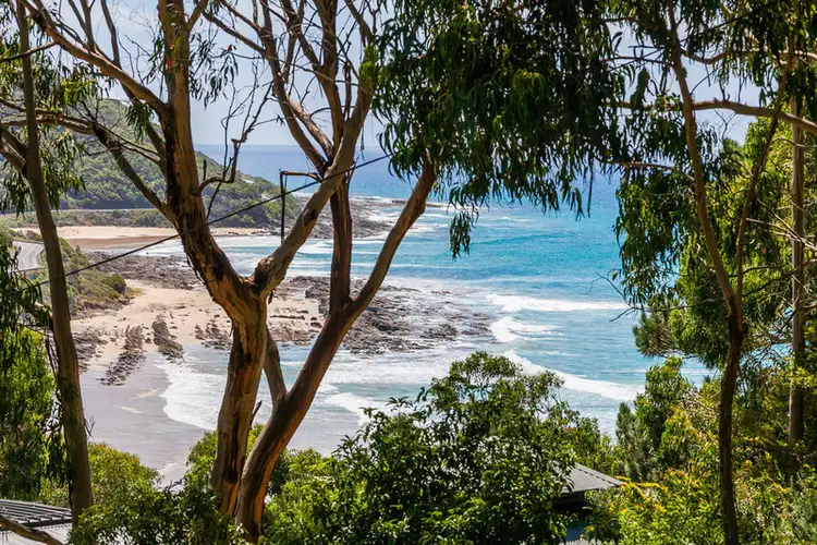 23 McRae Road, Wye River VIC 3234