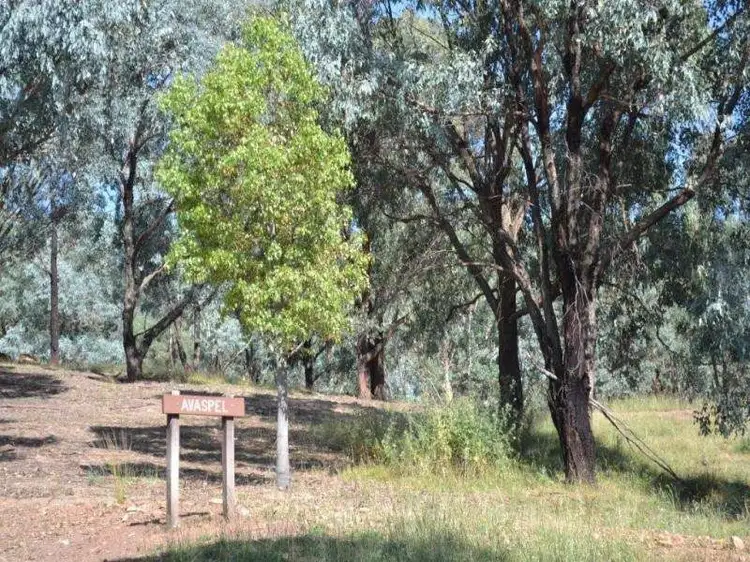 Fourth view of Homely rural property listing, Lot 712 McMurrays Lane, Cargo NSW 2800