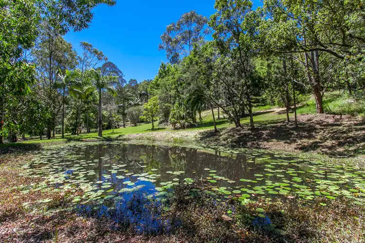 Third view of Homely house listing, 297 Mafeking Road, Goonengerry NSW 2482