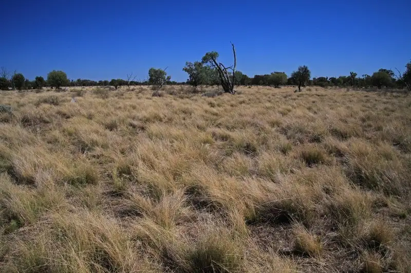 Main view of Homely rural property listing, Address available on request