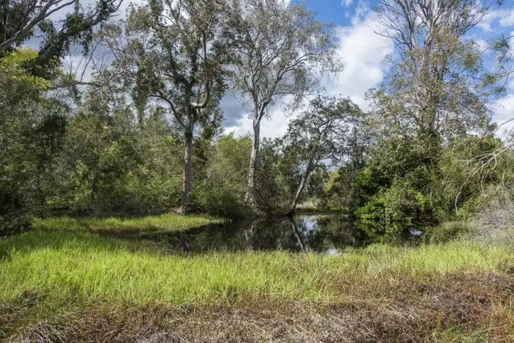 Main view of Homely land listing, 233 Firth Heinz Road, Pillar Valley NSW 2462