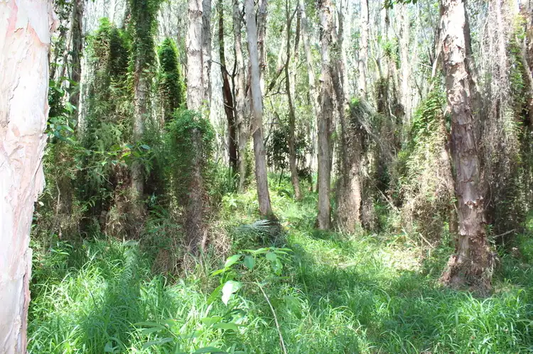 Third view of Homely land listing, Lot 14 Bangalow Road, Byron Bay NSW 2481