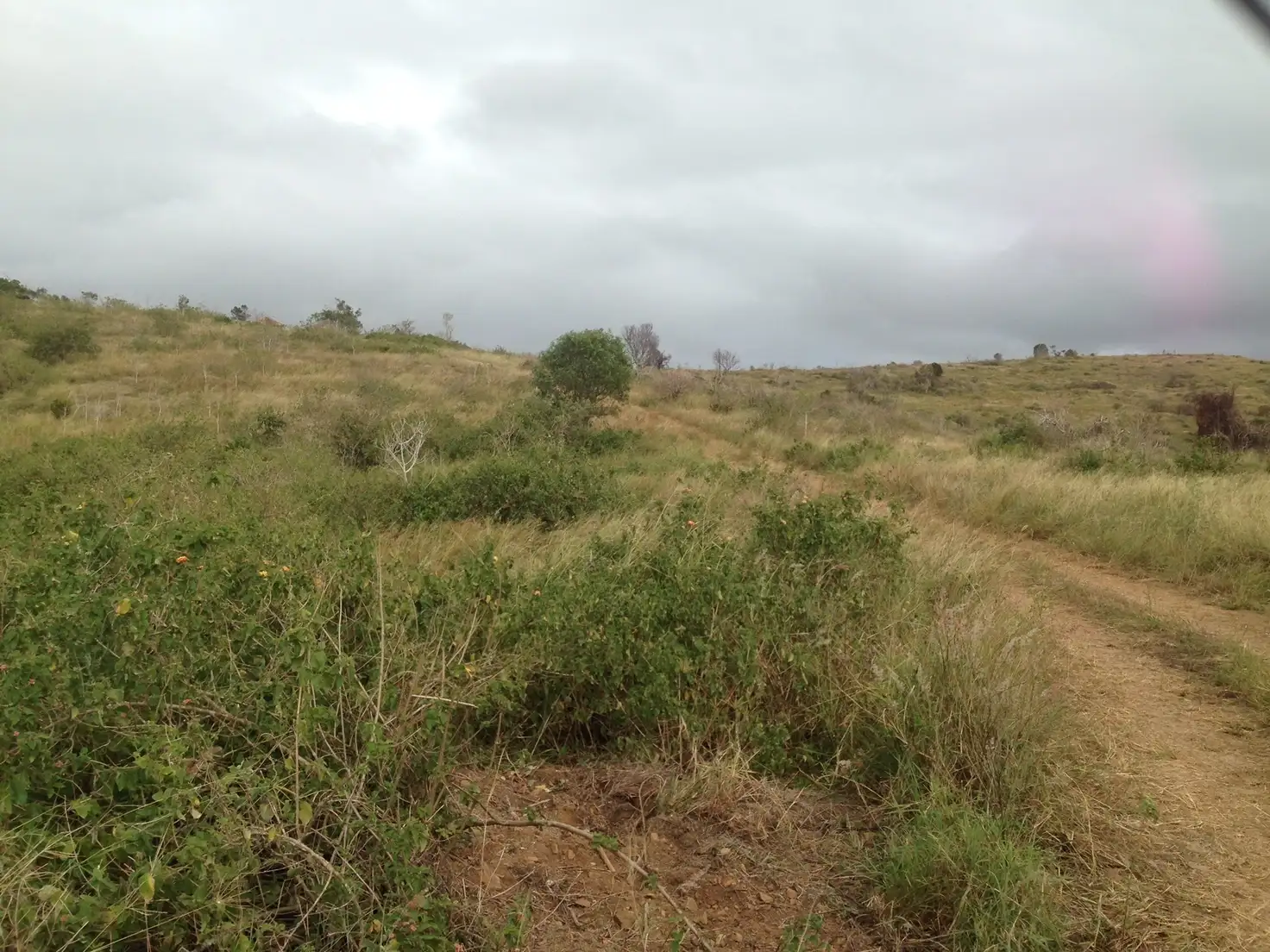Main view of Homely rural property listing, 103 Boneham Road (Off Tennis Lane), Bracewell QLD 4695