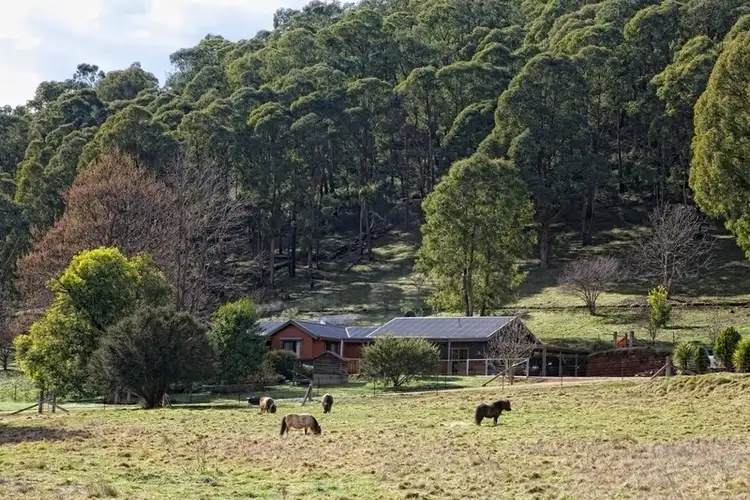 Second view of Homely rural property listing, 1191 Buckland Valley Road, Buckland VIC 3740