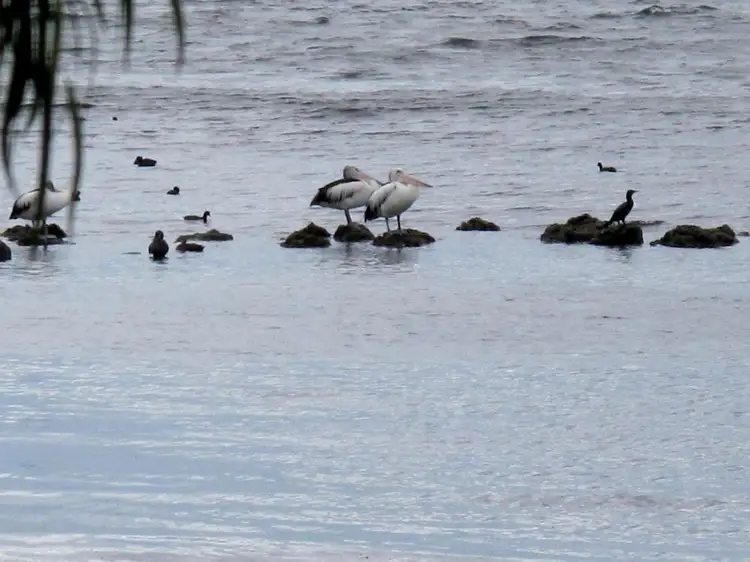 Fifth view of Homely land listing, 7 Lunan Road, Denmark WA 6333