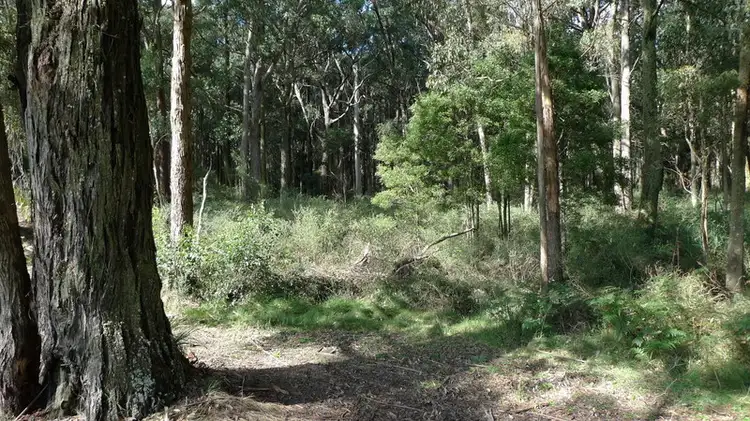 Fourth view of Homely land listing, 605 Daylesford-Trentham Road, Musk VIC 3461