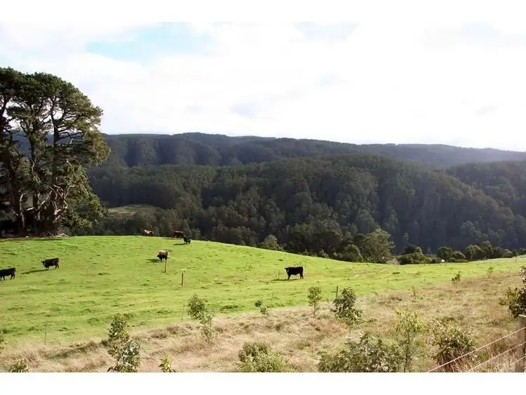 393 Busty Road, Apollo Bay VIC 3233