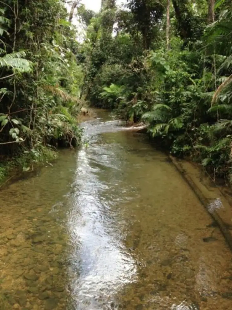 Lot 1 Whing Creek Road, Shell Pocket QLD 4855