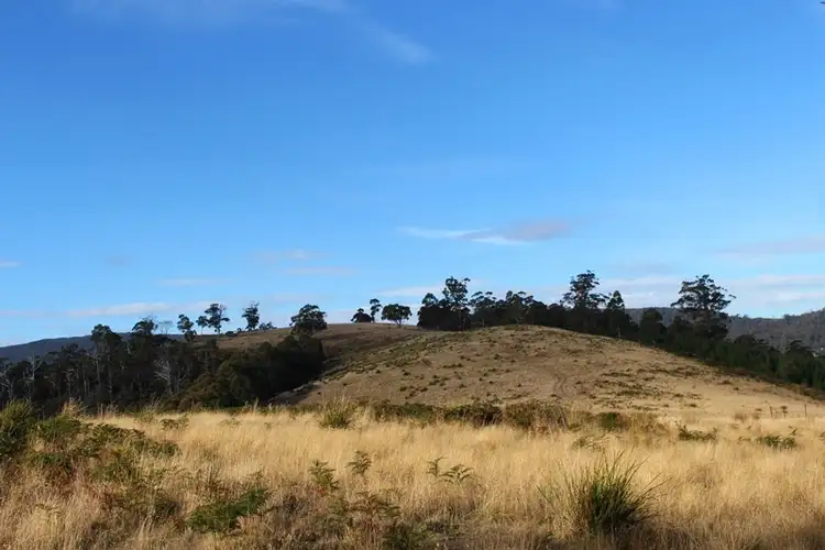 Second view of Homely land listing, 67 acres off Abbots Rd, Nicholls Rivulet TAS 7112