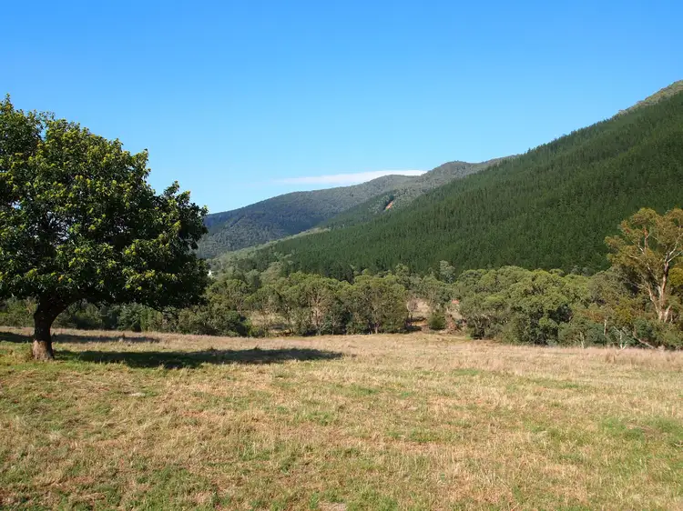 Fifth view of Homely house listing, 359 Morses Creek Road, Wandiligong VIC 3744