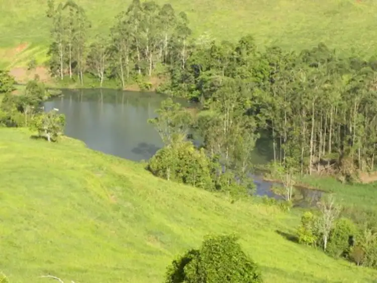 Seventh view of Homely rural property listing, Lot 5 Merragallan Rd, Jaggan QLD 4885