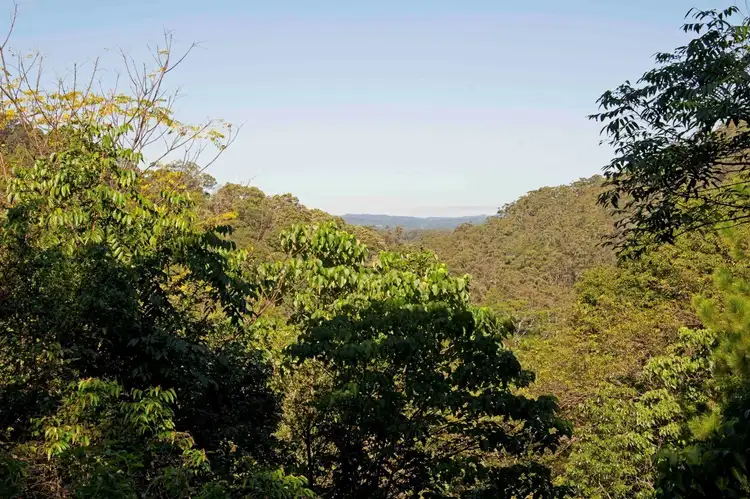 50 Gees Road, Eerwah Vale QLD 4562