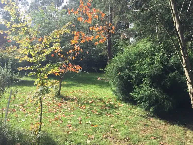 11 Birriga Ave, Bundanoon NSW 2578