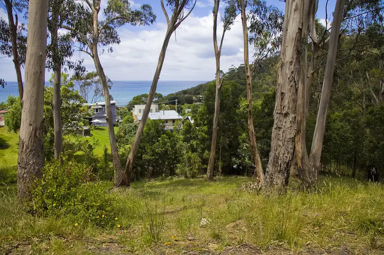 Third view of Homely land listing, 2 Neds Lane, Separation Creek VIC 3221