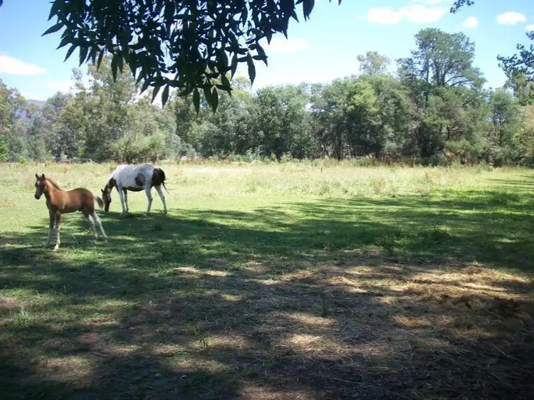 Fourth view of Homely house listing, 11 myrtle street, Myrtleford VIC 3737