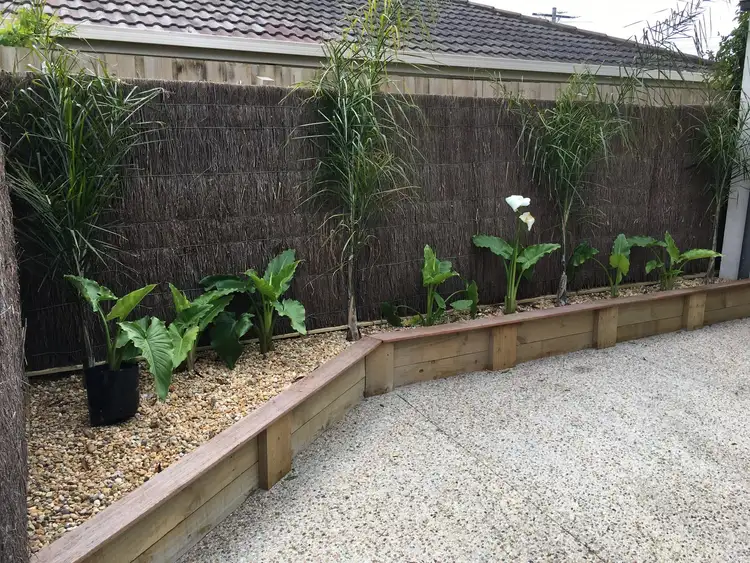 Fourth view of Homely house listing, 70 Whitehead Grove, Rosebud West VIC 3940
