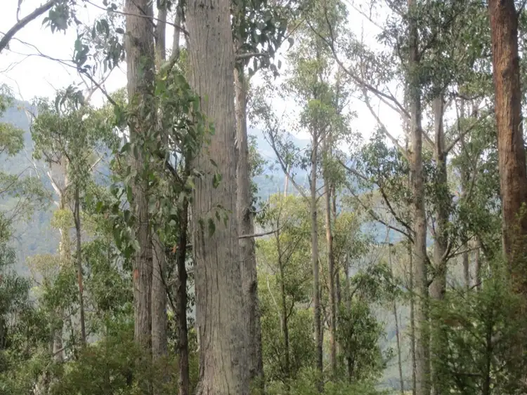 Fourth view of Homely land listing, Lot 1 Crouchs Hill Road, Lucaston TAS 7109