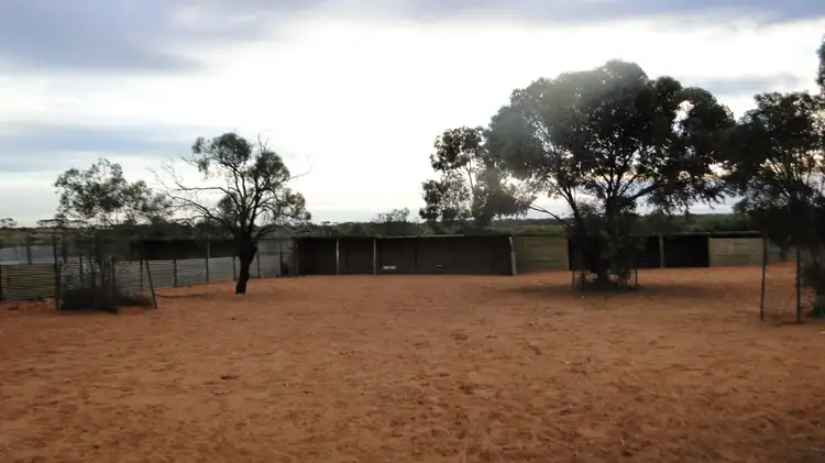 Fourth view of Homely rural property listing, 190 RING ROAD, Morgan SA 5320