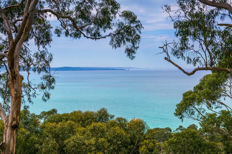 Main view of Homely house listing, 8 Alsop Street, Lorne VIC 3232