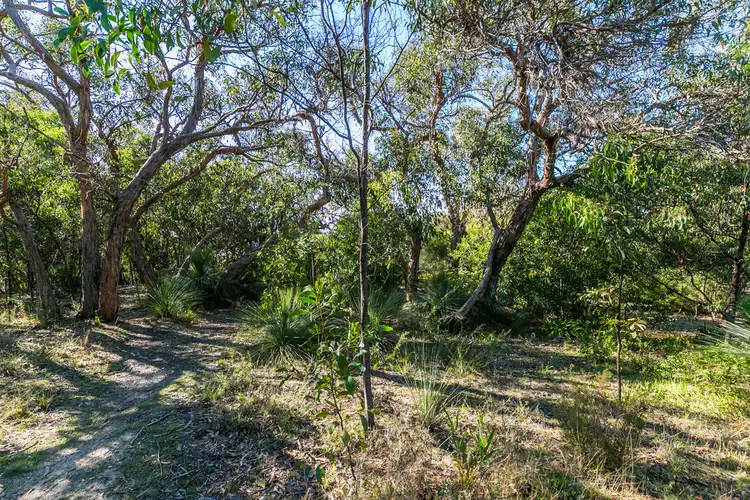 13 Birkdale Close, Anglesea VIC 3230