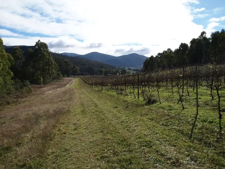 Seventh view of Homely rural property listing, 123 Morgans Creek Road, Kancoona VIC 3691