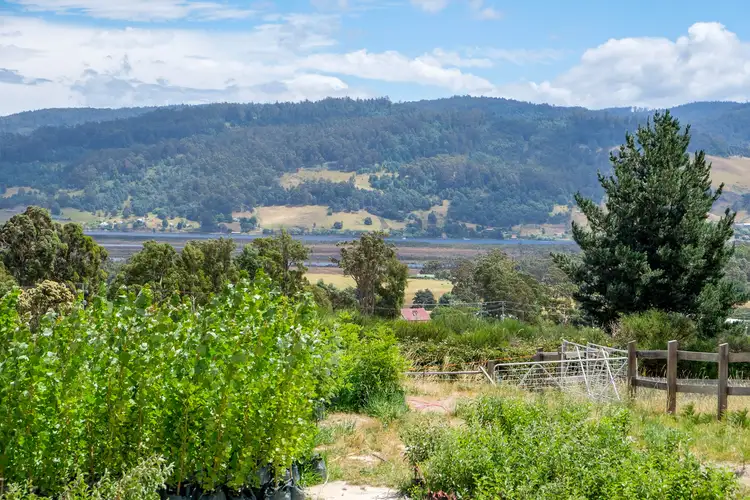 Second view of Homely house listing, 10 Schultz Street, Cradoc TAS 7109