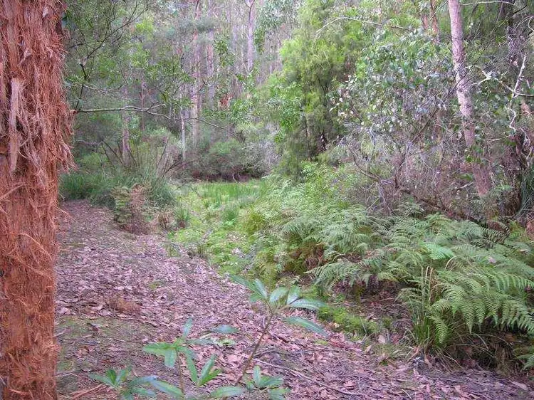Fourth view of Homely land listing, Cowmeadows Road, Cradoc TAS 7109