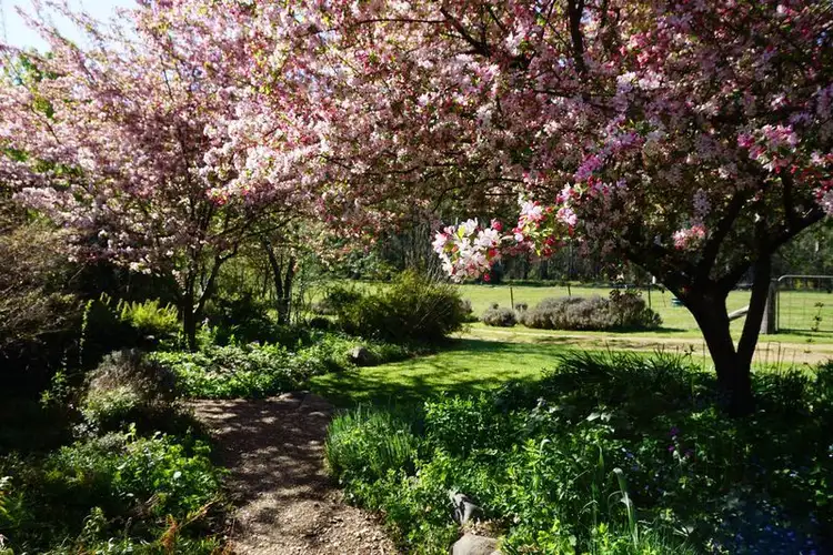 Fourth view of Homely rural property listing, Address available on request