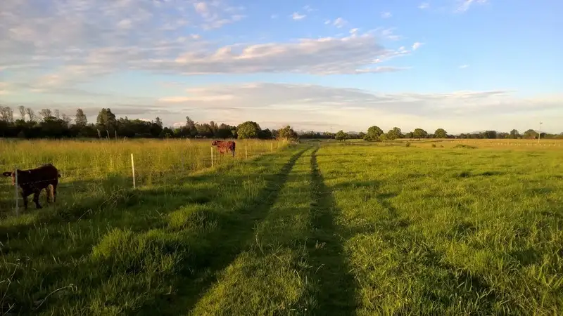 Main view of Homely rural property listing, Address available on request