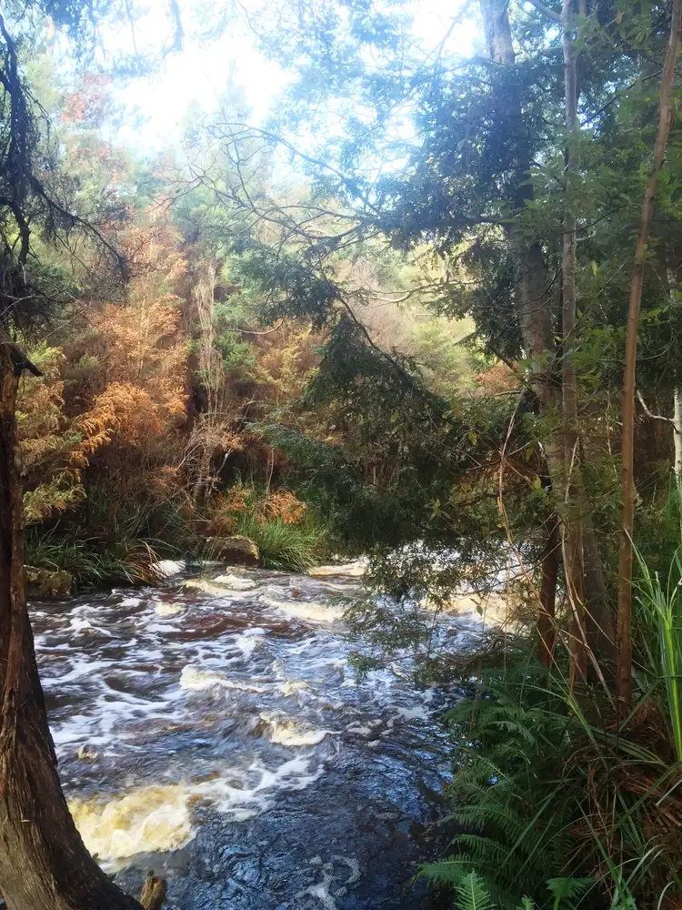 Second view of Homely land listing, Lot 1 Huon Highway, Strathblane TAS 7109