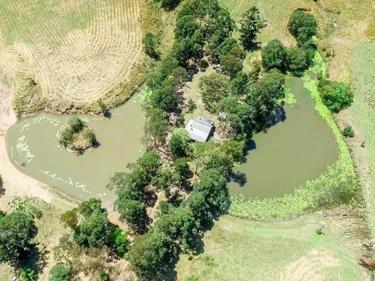 Fifth view of Homely rural property listing, 4325 Mary Valley Rd, Brooloo QLD 4570