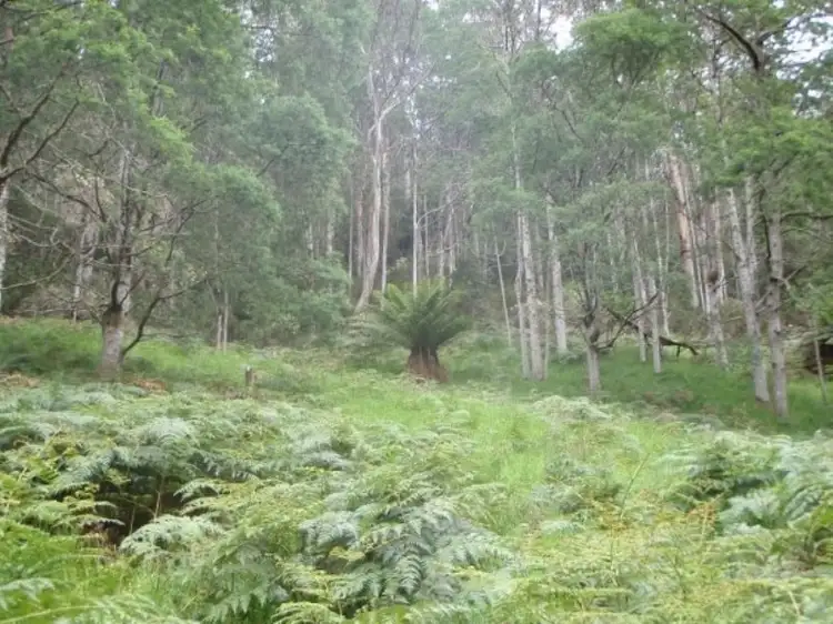 Fifth view of Homely land listing, Lot 5 Wylies Road, Cradoc TAS 7109