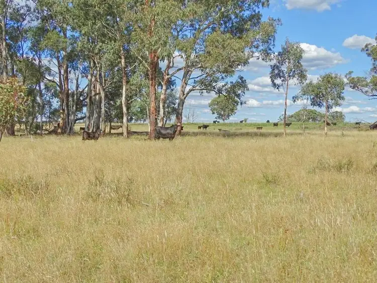 Fourth view of Homely rural property listing, . Muldoons, Guyra NSW 2365