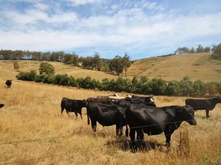 Sixth view of Homely land listing, Lot 1 Wallace Road, Cygnet TAS 7112
