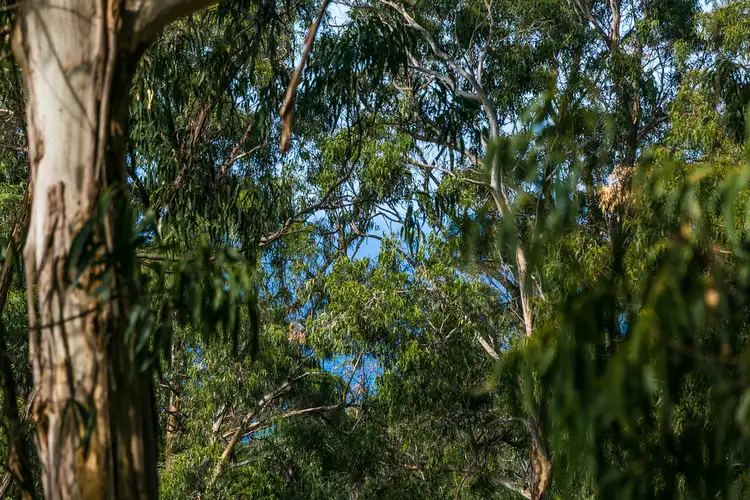 Fifth view of Homely land listing, 2 Ferny Grove, Kennett River VIC 3234
