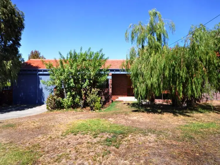 3 Abelia Court, Duncraig WA 6023