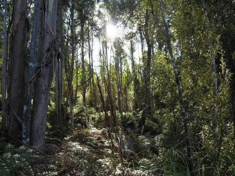 Sixth view of Homely land listing, Lot 1 Off Southwood Road, Lonnavale TAS 7109
