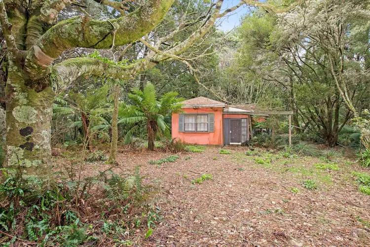 Main view of Homely rural property listing, 1100 Skenes Creek Road, Tanybryn VIC 3249