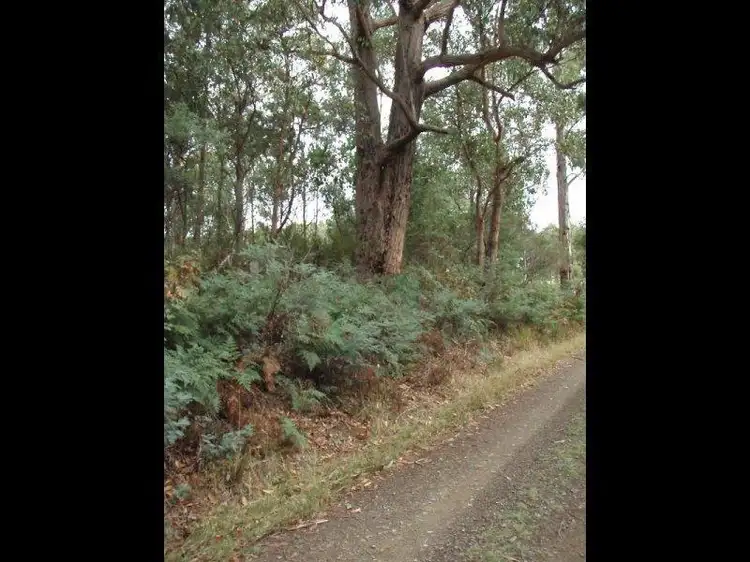 Fifth view of Homely land listing, Lot 4 Holmes Road, Ellendale TAS 7140